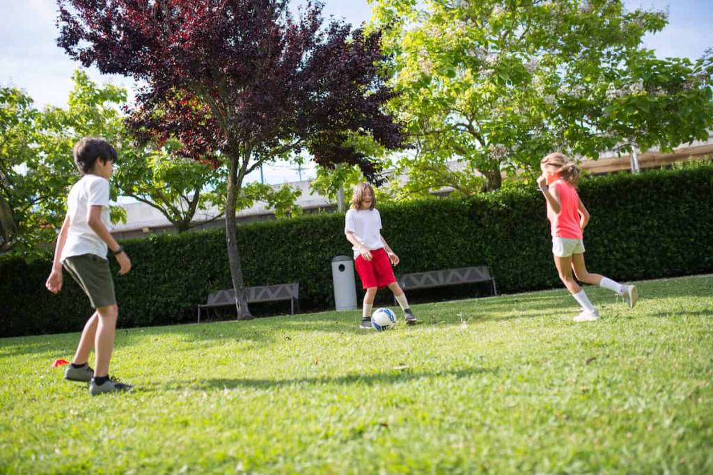 How Sports Toys Can Keep Children Active and Engaged